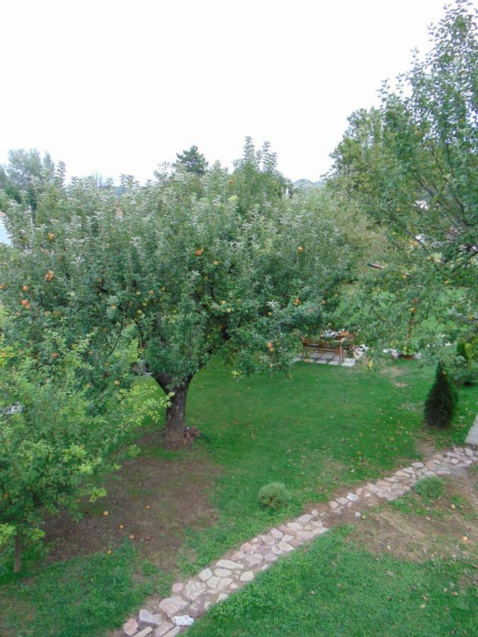 Villa Apple House Cetinje Exterior foto