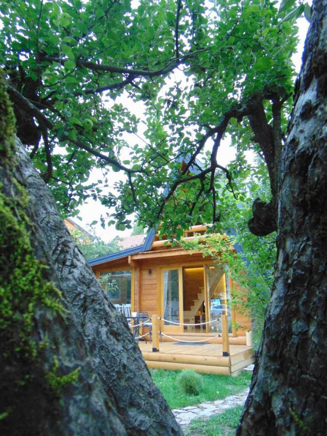 Villa Apple House Cetinje Exterior foto